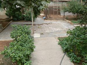 6 rue gl. Ferradou le jardin 05 Gambetta 